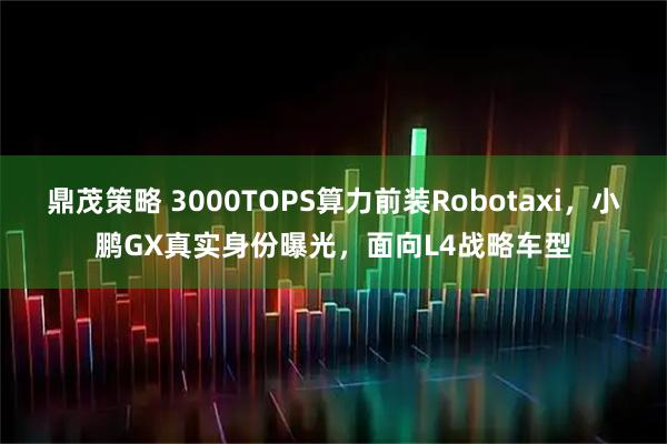 鼎茂策略 3000TOPS算力前装Robotaxi，小鹏GX真实身份曝光，面向L4战略车型