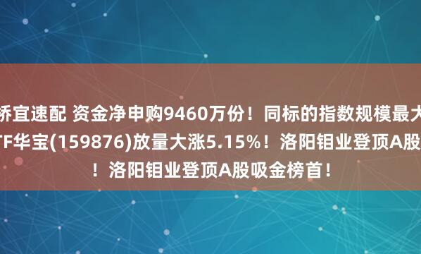 桥宜速配 资金净申购9460万份！同标的指数规模最大——有色ETF华宝(159876)放量大涨5.15%！洛阳钼业登顶A股吸金榜首！