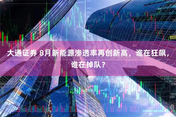 大通证券 8月新能源渗透率再创新高，谁在狂飙，谁在掉队？